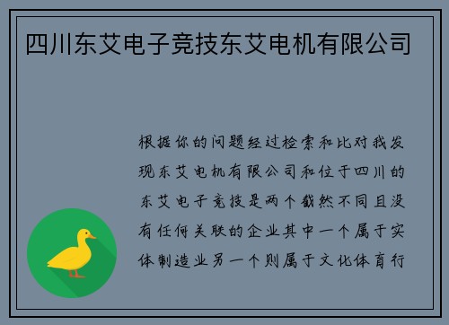 四川东艾电子竞技东艾电机有限公司